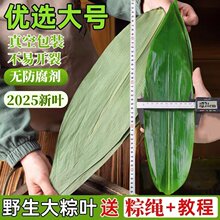 ����Ҷ��Ҷ���ʴ����Ҷ����Ҷ�ɰ����ӵ�Ҷ��5��װ���������