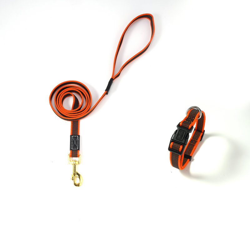 오렌지 견인 로프 + 칼라
