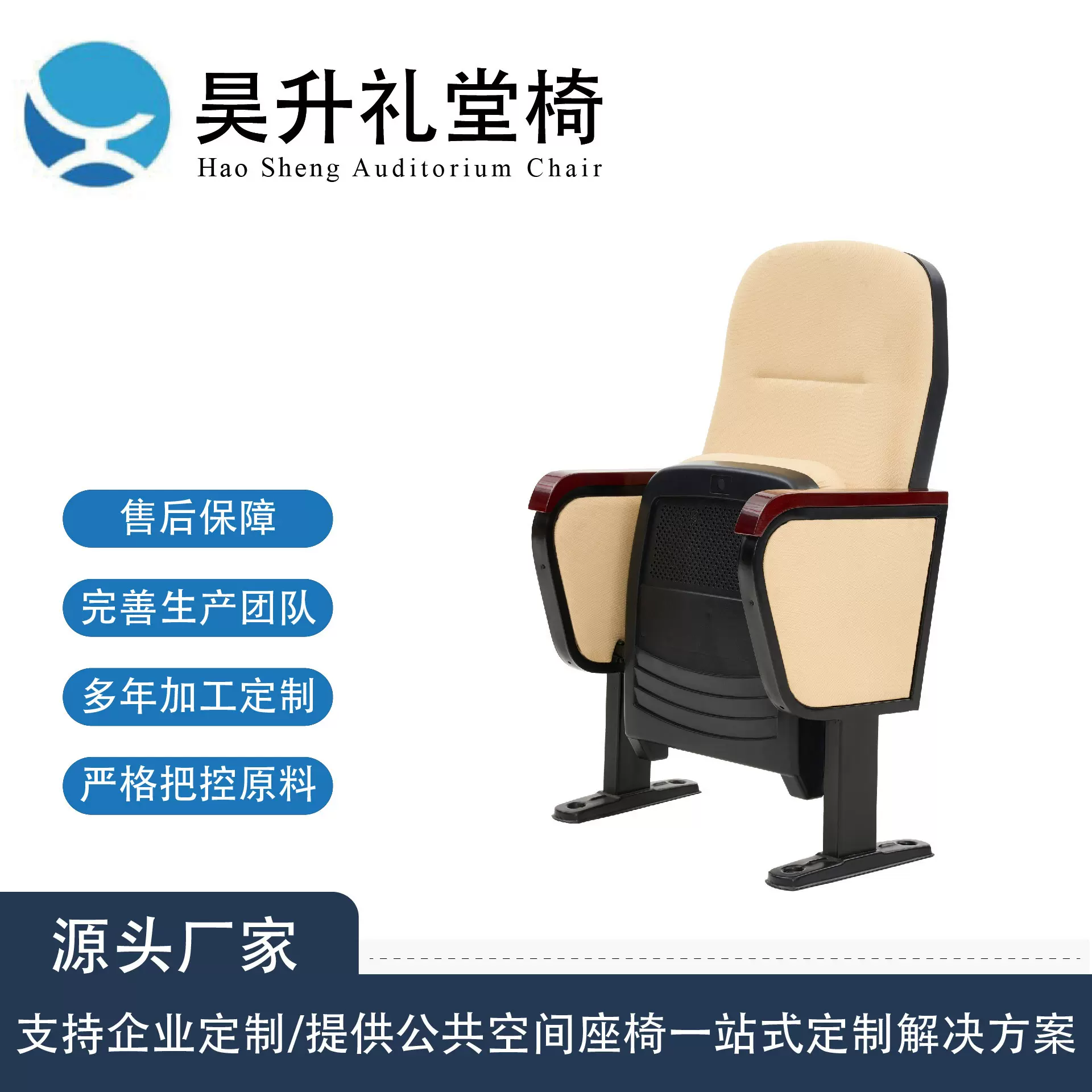 定制礼堂椅排椅Plastic Shell会议剧院影院椅阶梯教室椅演播厅椅