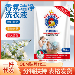 Jiejia Neng Daguichi 500g Bagged Laundry Detergent, One-Piece Dropshipping, Deep Cleaning, Free Shipping, Family Pack for Clothes