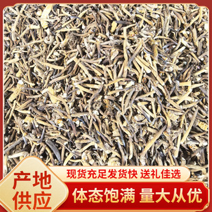 �x��β�� ���x�Ĳݲ��^ �����x��β�Ͳ��^���l ���x�Ĳ�β��