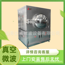 微波真空烘干机 荔枝 龙眼 罗汉果水果真空低温 烘烤机