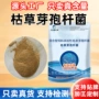 水溶养殖水产枯草净水