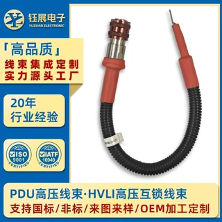 IATF16949 工厂 HVIL 高压互锁线束 PDU 高压线束 汽车线束定制