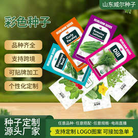 彩色种子 家用种子小包装四季通用易种家庭园艺花种子阳台花籽