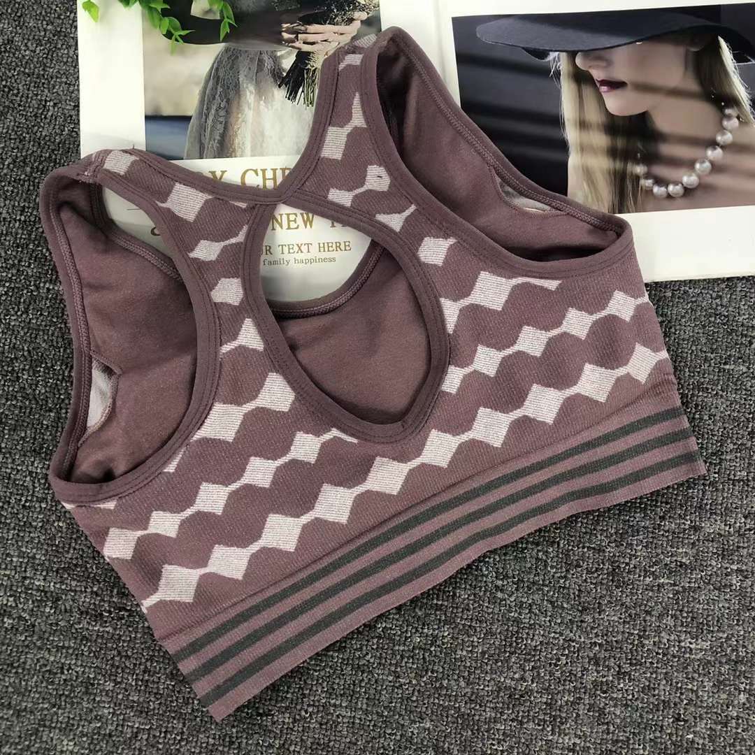 Nuevo chaleco sin costuras de alta elasticidad de alta calidad de dama sin anillo de acero bra de yoga ropa interior deportiva mujer al por mayor