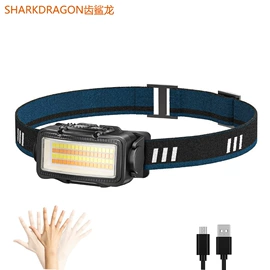 手电筒;头灯头戴电筒;提灯