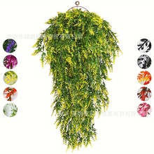 �羳���u��ɫ���湷β���ٗl�ٻ��Gֲ���ϻ��Ғ��픔zӰ�Ҿ��b�