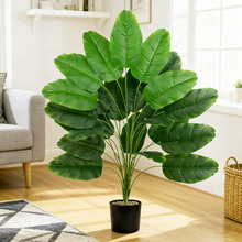 ����Gֲ�Ҿ��b�Ž��~�����T�d�羳�҃����Q�����˽�����ֲ��