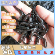 ��ˮ�Bֳ���k�~�ߴ�����^�p�~ɽ���~�����~����جF؛���w���l