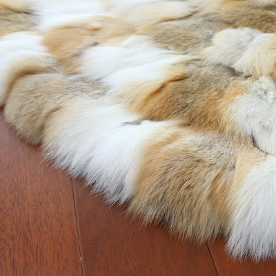 Living Room Bedroom Carpet: Car Carpet