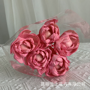 �ɻ�ͨ�ݻ����滨���ҿ͏d�����Ҿӿ͏d�b�����[����c����Ⱦɫ