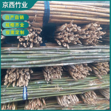 定制小竹竿菜园搭架蔬菜黄瓜番茄豆角架杆竹细篱笆栅栏竹子细竹竿