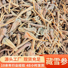 正宗天然西藏雪参海拔参王藏雪人参中药材干货批发无熏硫无添加