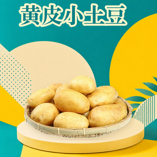 ������ʩ�SƤС���� ���l3/5/9���Ŵ�R����д���߲����rˮ��
