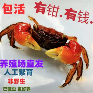 ���l�зз��������Сз�^�pз�����з�������ؔ[������з�Ї�