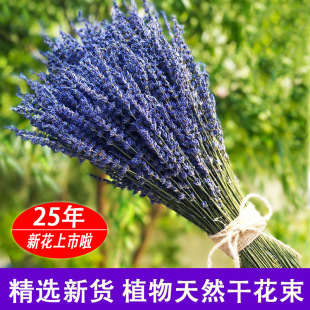 Xinjiang Yili Lavender Dried Flowers Natural Immortal Dried Flowers Real Flowers Living Room Home Vase Furnishings Source Wholesale