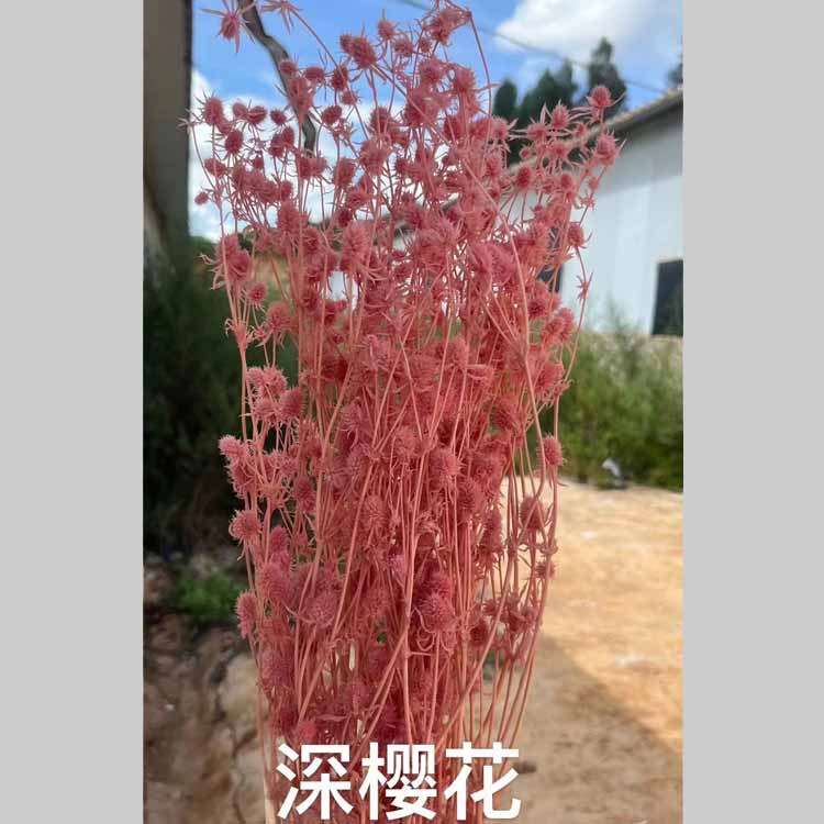 딥 체리 파우더 [약 100]