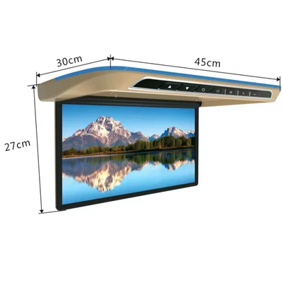 ceiling-mounted MP5 display – Car display
