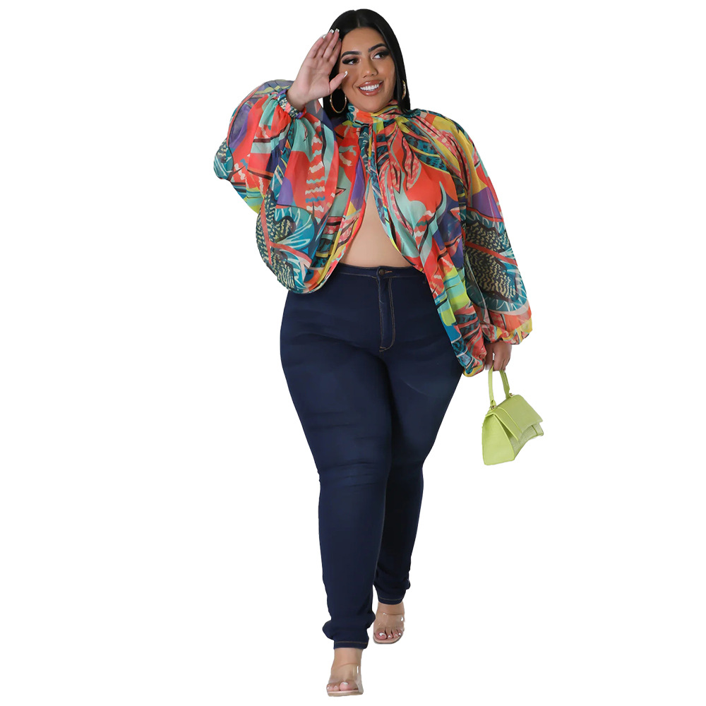 252g Weight Long Sleeve Sleeve Length Regular Sleeve Sleeve Type Spandex, Polyester, Chiffon Fabric Type Long Top Length Blouse Tops Type Daily, Street Occasion Round Neck Neckline Regular Fit Fit Type Color Block Pattern Spring&Summer Season Streetwear Style Blouse Long Sleeve Plus Size Tops Streetwear Color Block 36