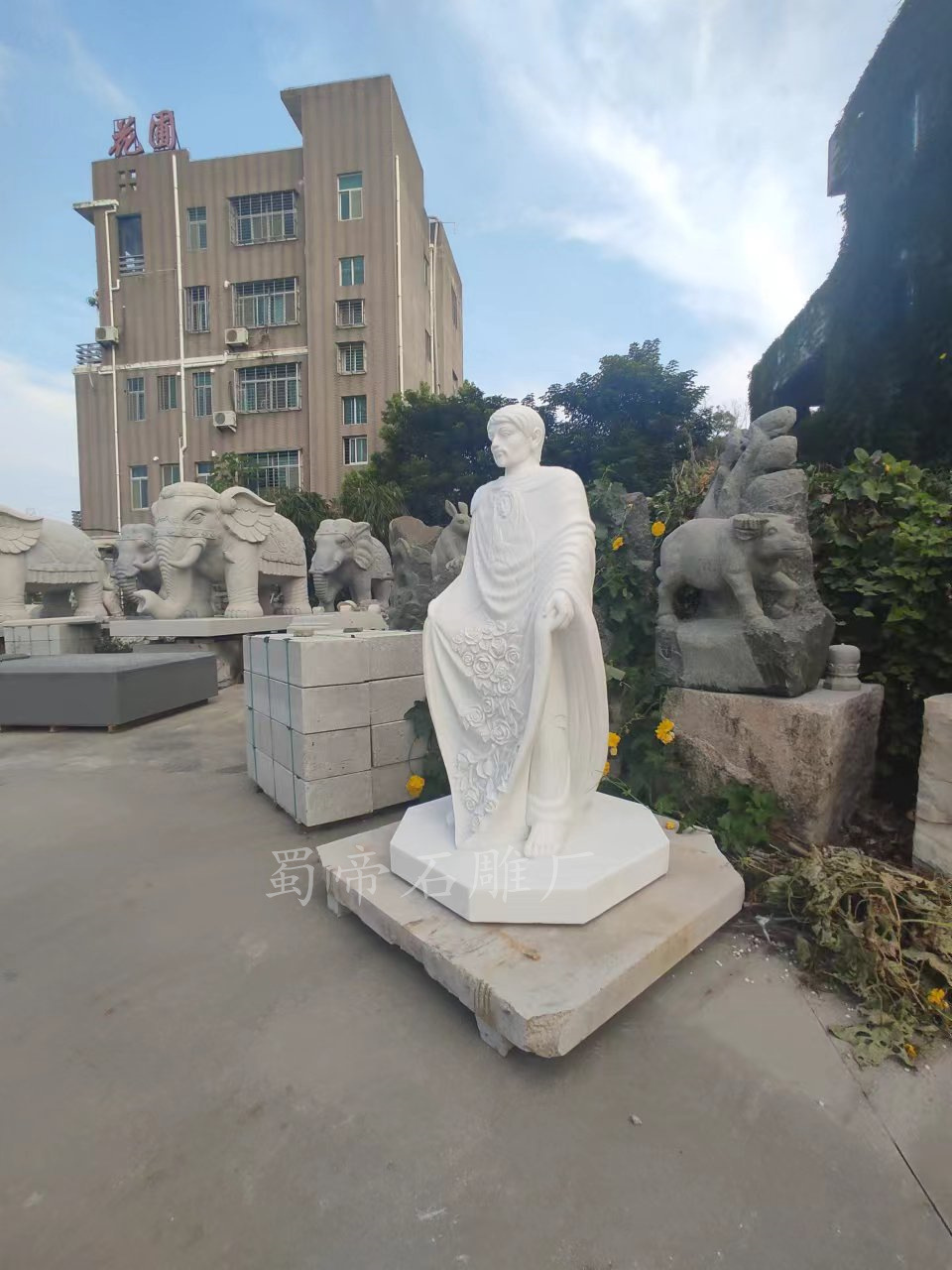 5e91379713f77b7564b2cd2162da2e