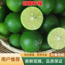 Խ������������Ƥ����֭������ζ���@���r�Fժ�a��ֱ�N�̲�͏d��