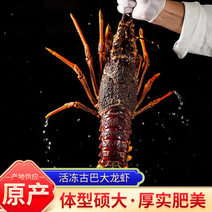 ����Űʹ����r �����ʹڹŰ����r���r���ô����r�F؛���l