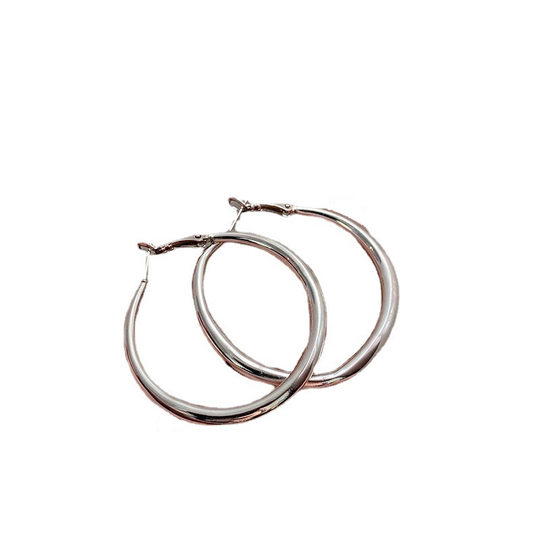 S925 Silver Needle silver Exaggerated Circle Earrings Temperament Niche Design Sense Earrings Earrings Earrings Women's Wholesale