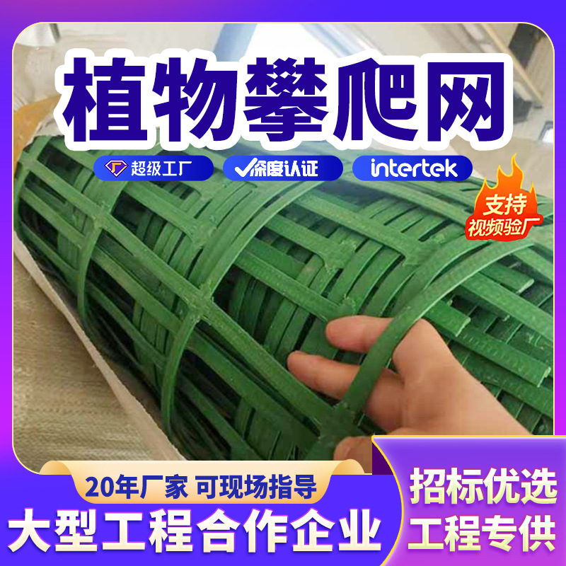 绿色护山钢塑网山体防护爬藤网矿山复绿植物攀爬网绿化土工格栅