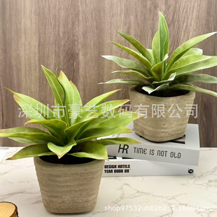 ��Ʒ ���R�d�羳��� ���滨����Gֲ���� �W���Ҿ������҃Ȕ[��