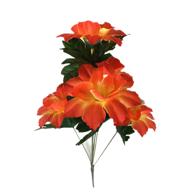 6cf0448cfda337c3694cb1512e540c