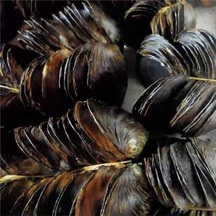 �����Ṥ��һ���װ����W�t�������������ð����ֹ���ˇƷ�Ӱ���