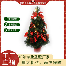 40CM����ʥ��������ص� ������������ʥ����