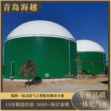 青岛海越两套五百方一体化双膜沼气柜 10-10000立方双膜储气柜