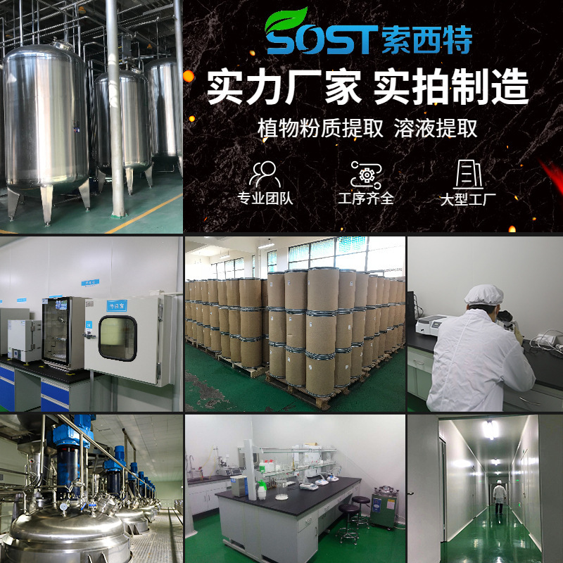 総合的な果物と野菜の酵素粉末原料バルクメーカー、果物と野菜の粉末加工固形飲料、送料無料|undefined