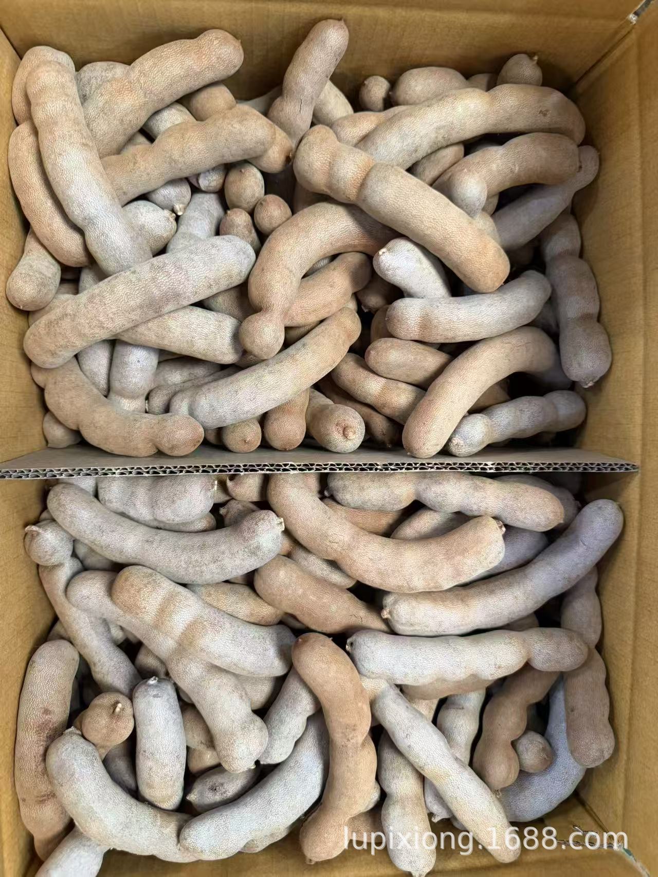 微信图片_20260401130928_1292_13