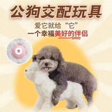 公狗交配发泄玩具女朋友泄火伴侣泻火泰迪比熊狗狗骑跨伴侣用