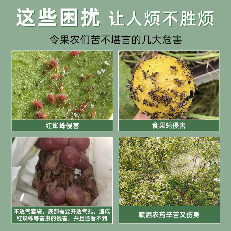 不織布ブドウ果物カバー袋防鳥虫袋通気性果物保護梨カバー袋専用卸売り|undefined
