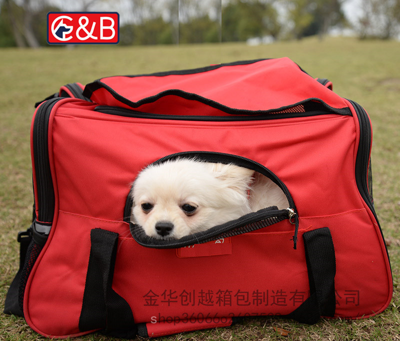 10365732025_560751701