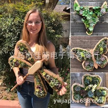 Unique Succulent Planter 新款多肉植物花盆树脂花盆工艺