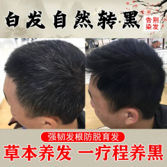 白転黒真っ黒滋養液精華液滋養毛嚢強靭発根育毛防止脱毛何首烏育毛液