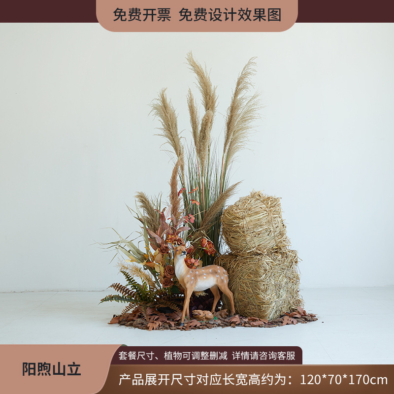 植物造景假绿植棉花云朵芦苇干花装饰直播间秋冬橱窗场景布置日暖|undefined