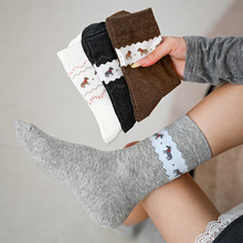 ɭϵ�͹���Ͳ�m�ﶬ�����m2025���¿�Ů�������e�ٴ�10a�����m��