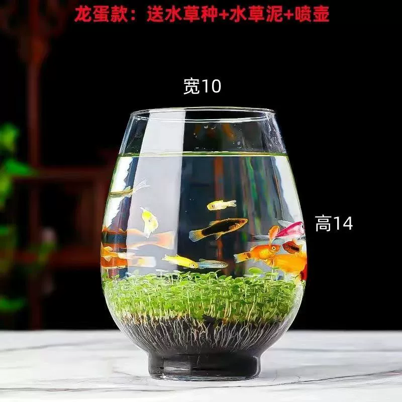 Aquatic plants, creative aquarium, bottle