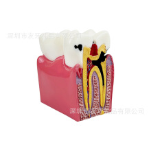 Xģ6xXģͿǻģͽ̌Wģƽ̌WģSl