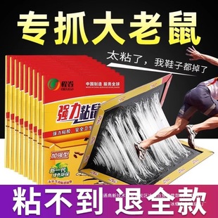 ճ����zճ��������������Nץ�����������ճ�F؛���l