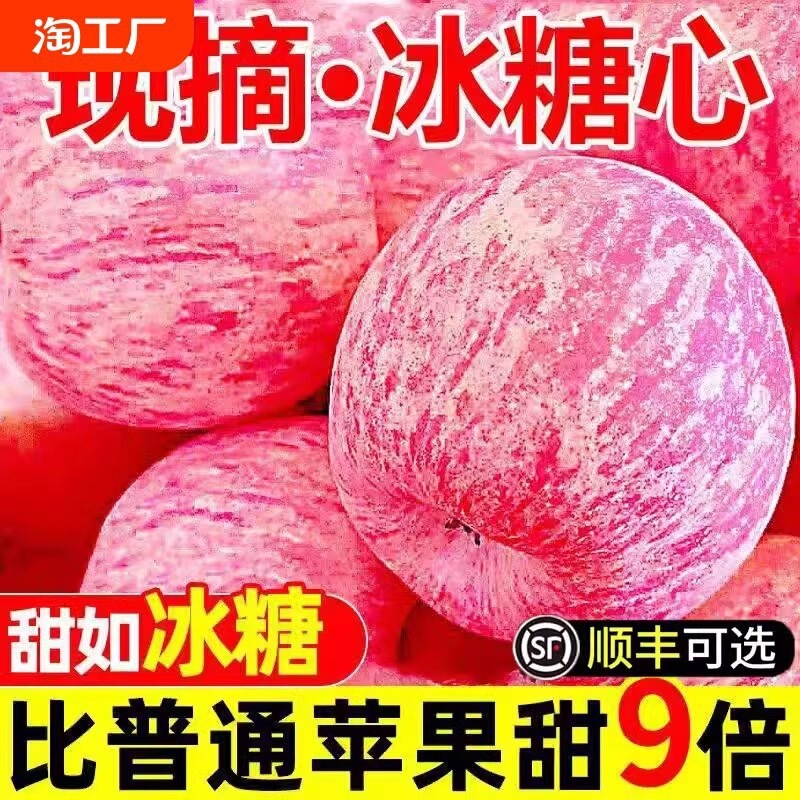 Fresh Red Fuji Apples from Luochuan, Shaanxi, Seasonal Fruit with Sugar Heart, First-Grade Crisp and Sweet Variety, Whole Box with Free Shipping Fresh Red Fuji Apples from Luochuan, Shaanxi, Seasonal Fruit with Sugar Heart, First-Grade Crisp and Sweet Variety, Whole Box with Free Shipping