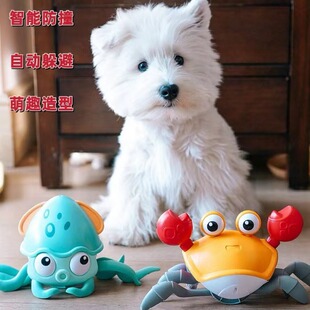 �羳�����������늄��з���~�������������ܷ��挙�������Ʒ