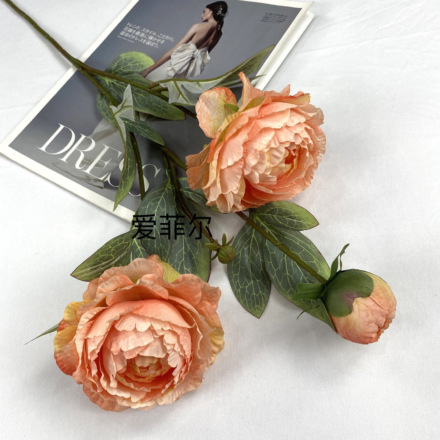 f2635f24271d22d6a27b0d9726f04c