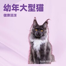 ���N���Ҿ���؈����؈���w�Lë�y��С؈�������̴���؈���؈��؈